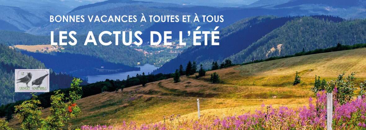 Les actualités de juillet – août