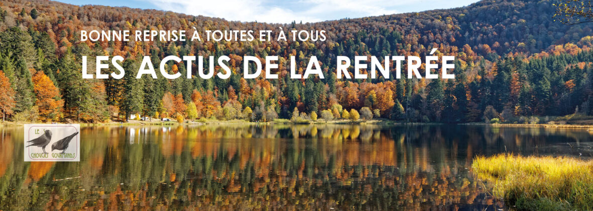 Toutes les actualités de la rentrée