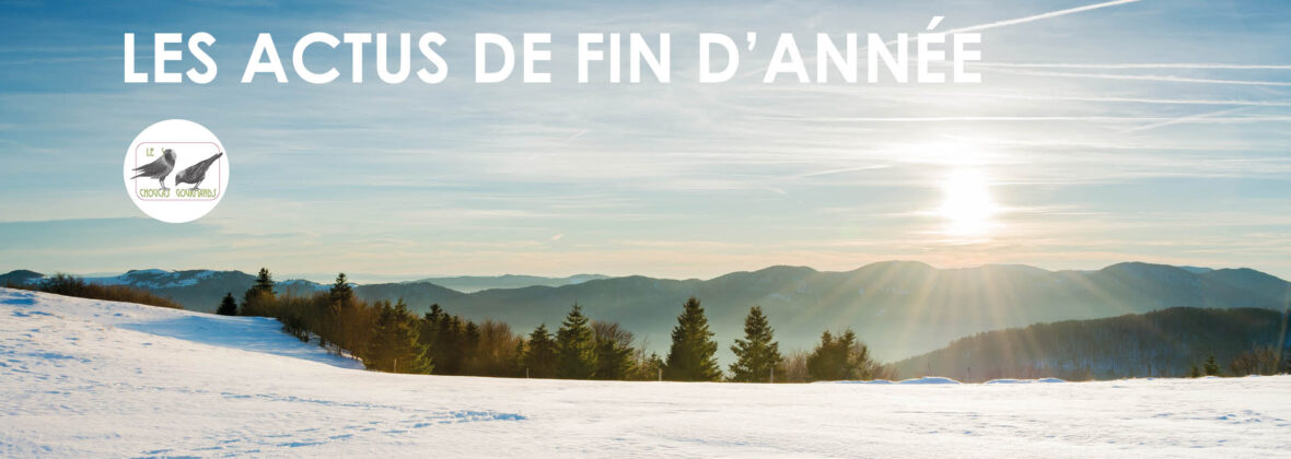 Toutes les actualités de fin d&rsquo;année