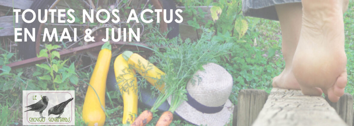 Les actualités de mai & juin